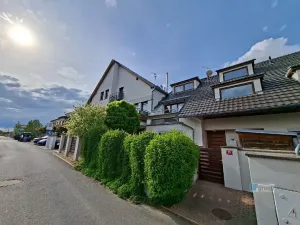 Prodej bytu 3+kk, Veleň, Polní, 300 m2