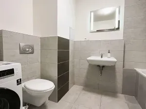 Pronájem bytu 1+1, Hradec Králové, Selicharova, 40 m2