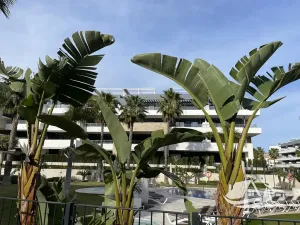 Prodej bytu 4+kk, Torrevieja, Španělsko, 98 m2