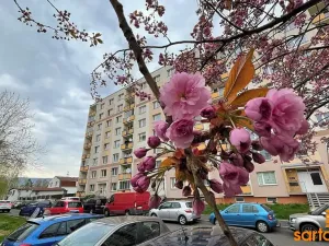 Pronájem bytu 1+1, Ústí nad Labem, Zahradní, 33 m2