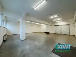 Pronájem skladu, Ostrava, Pavlovova, 110 m2