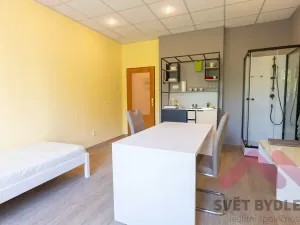 Pronájem bytu 1+kk, Praha - Vršovice, Tolstého, 28 m2