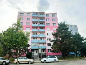 Prodej bytu 1+kk, Veselí nad Moravou, Chaloupky, 29 m2