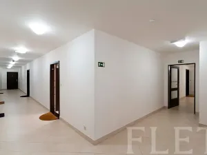 Pronájem bytu 1+kk, Praha - Žižkov, Olšanská, 43 m2