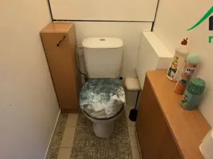 Pronájem bytu 3+1, Planá, 79 m2