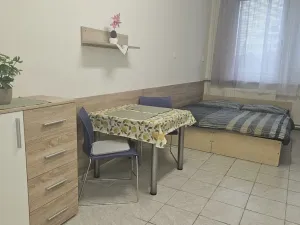 Pronájem bytu 1+kk, Hranice - Hranice I-Město, Potštátská, 40 m2