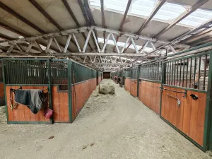 Prodej zemědělského objektu, Prachatice, 800 m2