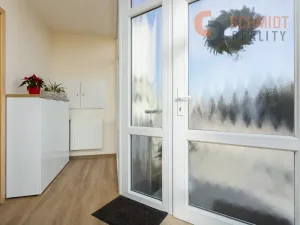 Prodej rodinného domu, Hustopeče, U Větrolamu, 300 m2
