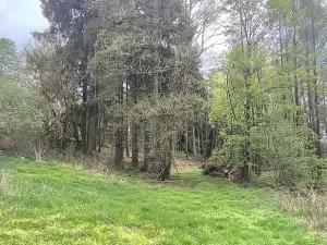 Prodej pozemku, Lipová, 927 m2