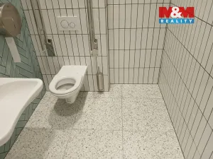 Prodej obchodního prostoru, Opava - Město, Masarykova třída, 120 m2