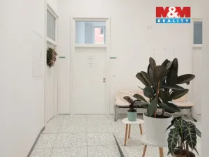 Prodej obchodního prostoru, Opava - Město, Masarykova třída, 100 m2