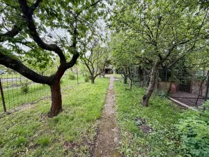 Prodej vícegeneračního domu, Olšany u Prostějova, 230 m2