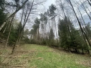Prodej pozemku, Volfířov - Brandlín, 5958 m2