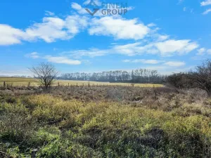 Prodej pozemku pro bydlení, Sedlec, 2370 m2