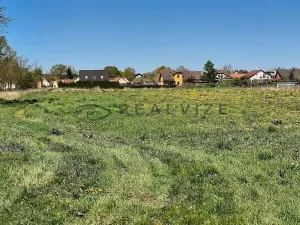 Prodej pozemku pro bydlení, Čejkovice, 916 m2
