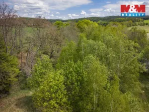 Prodej lesa, Trhové Dušníky, 909 m2