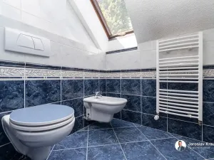 Prodej rodinného domu, Nechanice, Za Kulturním domem, 250 m2