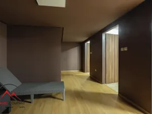 Pronájem bytu 1+kk, Ostrava, Cihelní, 19 m2