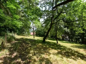 Prodej zahrady, Stříbrná Skalice, 1015 m2