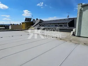 Prodej činžovního domu, Opava, Slezská, 1300 m2