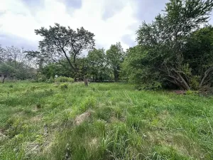 Prodej pozemku pro bydlení, Velká Kraš, 1290 m2