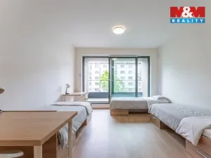 Prodej bytu 1+kk, Praha - Žižkov, Tetauerova, 33 m2