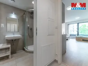 Prodej bytu 1+kk, Praha - Žižkov, Tetauerova, 33 m2
