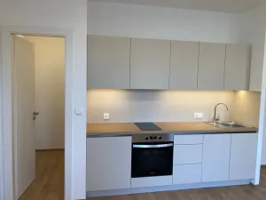 Pronájem bytu 1+kk, Praha - Žižkov, Na rovnosti, 32 m2