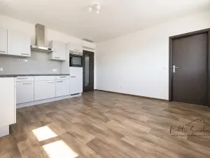 Pronájem bytu 3+1, Prostějov, Domamyslická, 84 m2