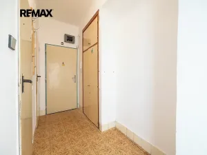 Prodej bytu 2+1, Praha - Žižkov, Pod lipami, 53 m2