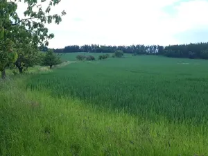 Prodej pozemku pro bydlení, Lipinka, 4373 m2