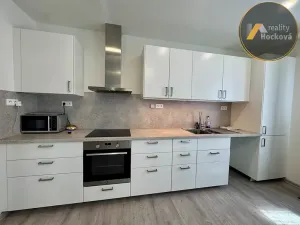Prodej rodinného domu, Dolní Beřkovice, 99 m2