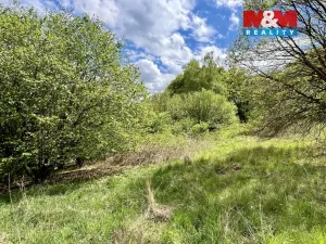 Prodej louky, Lipnice nad Sázavou, 4450 m2