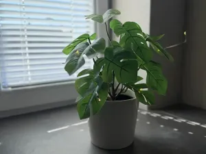 Pronájem bytu 2+kk, Brno - Ivanovice, Černohorská, 48 m2