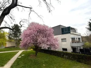 Pronájem bytu 3+1, Brno - Komín, Vrbenského, 64 m2