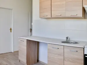 Pronájem bytu 2+1, Most, Maxe Švabinského, 55 m2