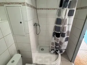 Pronájem bytu 1+kk, Písek, Za Pazdernou, 18 m2