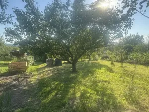 Prodej zahrady, Otrokovice, 209 m2