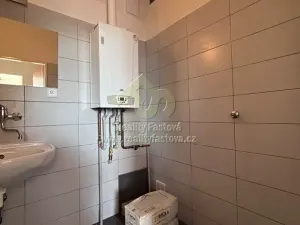 Pronájem bytu 1+1, Plzeň, Karlovarská, 44 m2