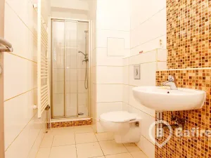 Pronájem bytu 1+kk, Čeladná, 24 m2