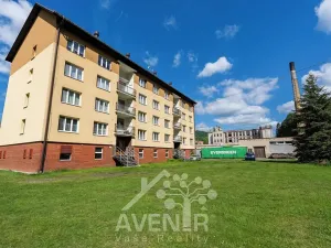Prodej bytu 1+kk, Velké Hamry, 19 m2