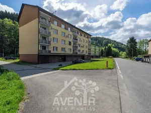 Prodej bytu 1+kk, Velké Hamry, 19 m2