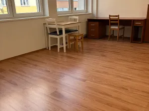 Pronájem bytu 1+kk, Praha - Nusle, Bartoškova, 36 m2