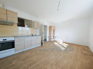 Pronájem bytu 1+1, České Budějovice, 44 m2