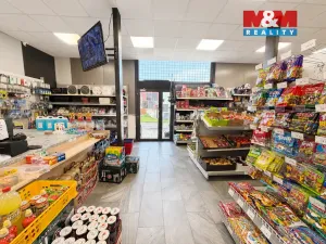 Prodej obchodního prostoru, Měrunice, 210 m2
