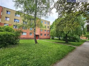 Pronájem bytu 2+1, Havířov, Junácká, 50 m2