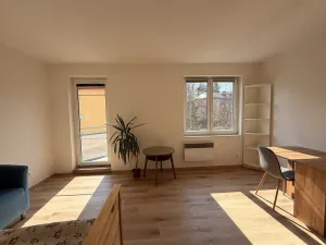 Pronájem bytu 1+kk, Mladá Boleslav - Mladá Boleslav II, Čechova, 26 m2