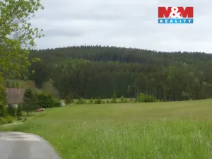 Prodej louky, Vysoká Srbská, 26000 m2