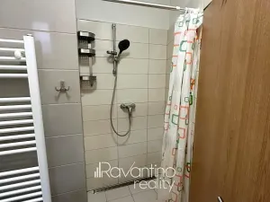 Pronájem bytu 1+kk, Brno, Pražská, 20 m2
