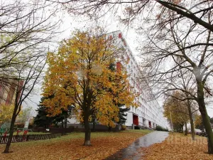 Pronájem bytu 3+1, Praha - Petrovice, Frostova, 78 m2